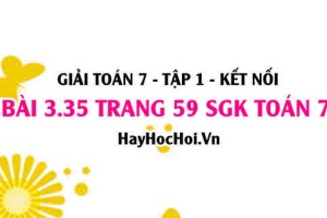Giải bài 3.35 trang 59 Toán 7 Tập 1 SGK Kết nối tri thức